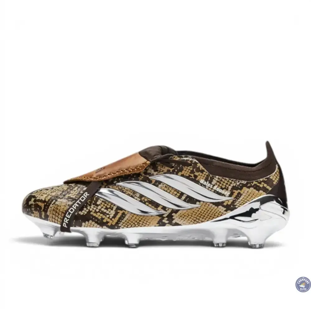 Adidas Predator 26 Elite Fold-over Tongue FG Wales Bonner - Marron/Argenté ÉDITION LIMITÉE - Image 2