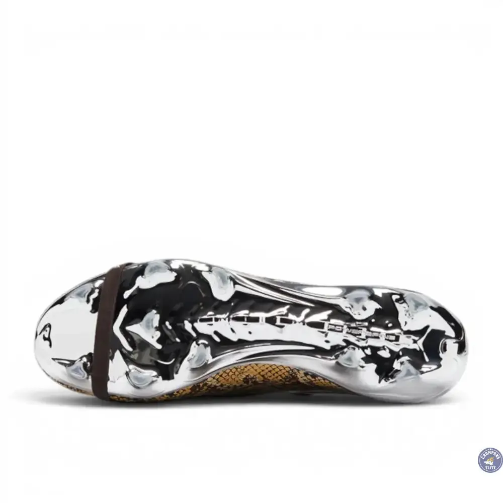 Adidas Predator 26 Elite Fold-over Tongue FG Wales Bonner - Marron/Argenté ÉDITION LIMITÉE - Image 5