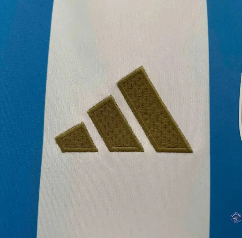 Argentine 2024 Domicile - Image 3